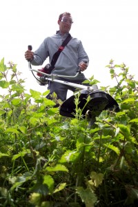 Lifestyle_brushcutter