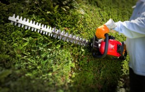 Mountfield Hedge trimmer - PJ Barrow